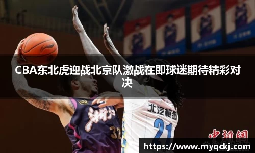 CBA东北虎迎战北京队激战在即球迷期待精彩对决